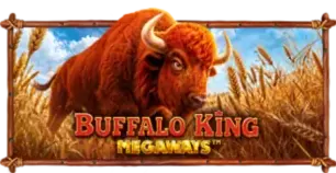 ภาพเกม Buffalo King Megaways ที่ starbets รวบรวมไว้